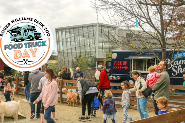 People petting goats at the Zoo, with food trucks in background.