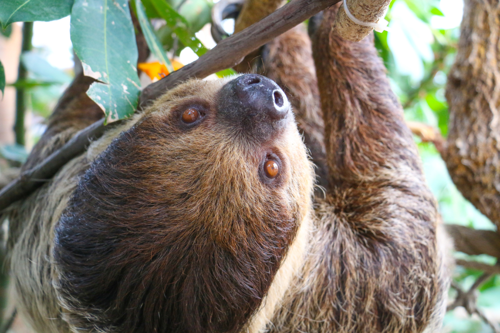 Tours - Roger Williams Park Zoo