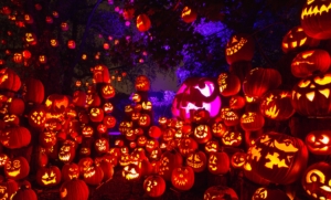 thousands of carved jack-o-lanterns lit up at night