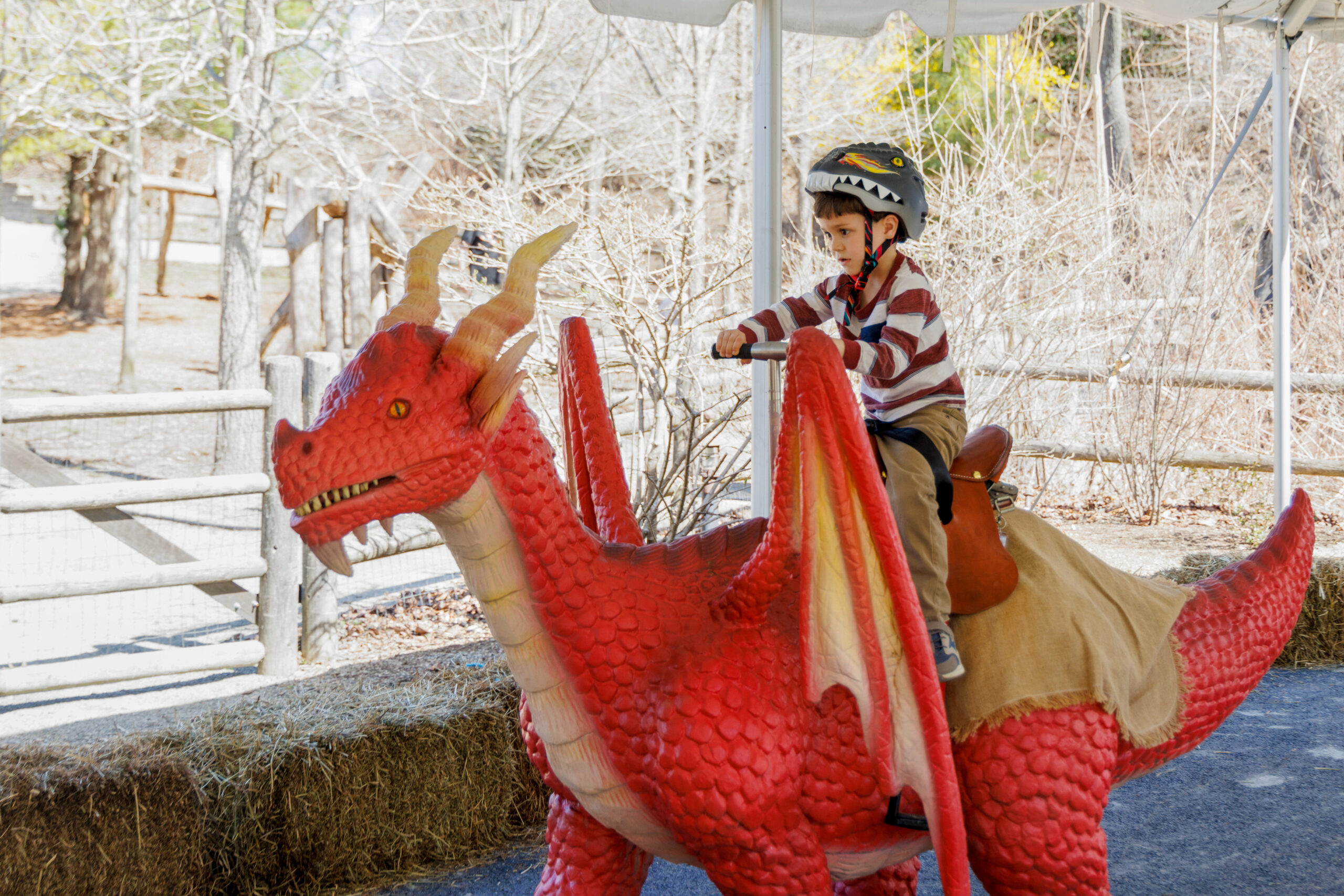 young child on a red dragon animatronic rid