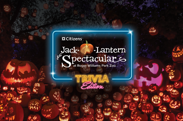 2024 Jack-O-Lantern Spectacular Banner with logo and large display of intricately carved pumpkins lit up.