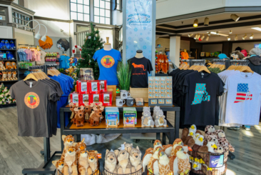 Zoo gift shop display with merchandise, t-shirts and stuffed animals