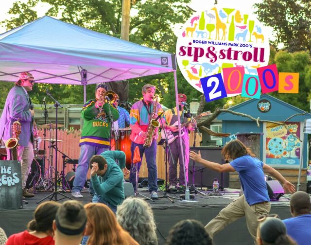 Get ready for an adults-only night of live music, animal encounters, food, drinks, and a costume contest at the Roger Williams Park Zoo's Sip & Stroll: Battle of the Bands on July 18th!

This is your chance to relive your favorite tunes from the 2000s while enjoying everything the Zoo has to offer. Don't miss out on this fun-filled night!

Get your tickets ➡️ bit.ly/sipnstroll_2000s