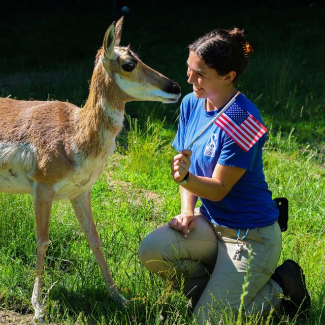 Red, white, and Zoo! 🇺🇸 Happy 4th of July from all of us here at Roger Williams Park Zoo! 💙

The Zoo is OPEN today 9am-4pm. We hope you all have a safe, fun-filled holiday! 🎉