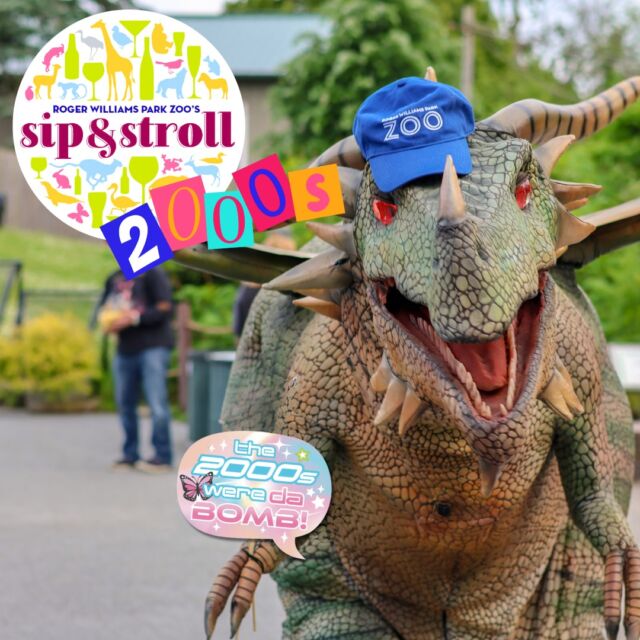 😎 Get ready for Sip & Stroll 2000s Night happening THIS Thursday, July 18th! Get ready for a night of: Battle of the Bands throwin' down all your fave jams from the 2000s, costume contests, Dragons & Mythical Creatures and specialty cocktails!

Don't miss out on this epic night at the Zoo. Grab your crew (21+) and get your tickets: bit.ly/sipnstroll_2000s