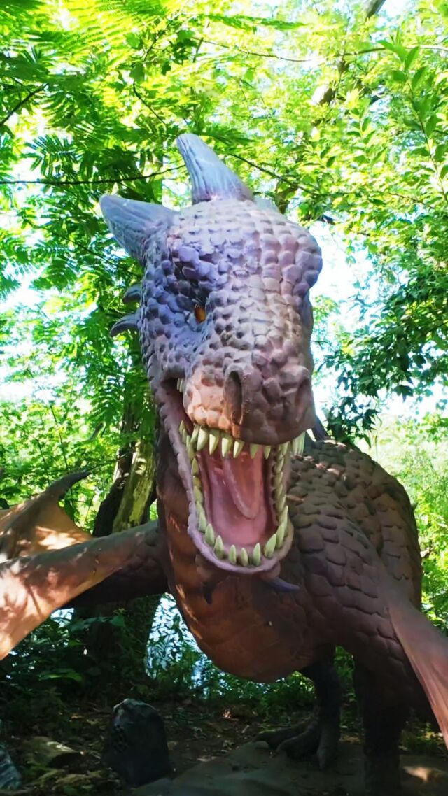 ✨ Our Dragons & Mythical Creatures experience is ROARING with excitement! Our friendly mythical creatures are waiting to amaze you on an unforgettable adventure.

Time’s running out! Will YOU face the awe-inspiring beasts before they vanish on August 11th?

Ready to be swept away? Head to rwpzoo.org to plan your visit!