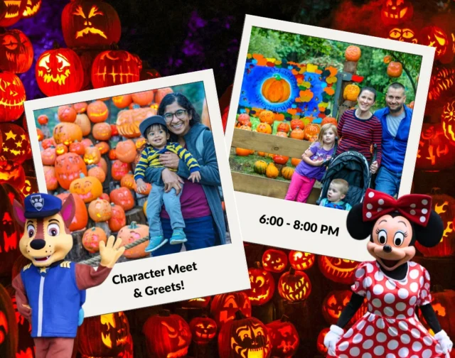 TONIGHT & TOMORROW! - Meet your favorite characters at the Jack-O-Lantern Spectacular from 6:00 - 8:00 PM. 🤗 

🎃Tuesday, Oct. 8 - Enjoy meet & greets with the 501st Star Wars Costume Club before hopping on the pumpkin trail. 
🎃Wednesday, Oct 9 - Enjoy meet & greets with your favorite blue dog, iconic mouse duo, and rescue pups before hopping on the pumpkin trail. 

Meet & greets are included in the price of the Jack-O-Lantern Spectacular ticket. Guests must be in line by 7:45 pm. See you later for some family fun! 😄