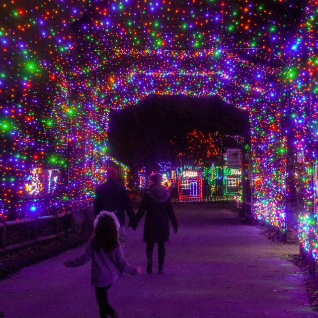 The Zoo is WILD with holiday cheer ✨ Holiday Lights Spectacular kicks off TONIGHT!

Sip on hot cocoa, roast s'mores, and make memories at our winter wonderland of lights. Tickets sold online only: rwpzoo.org/holidaylights

Open nightly through January 4th - don’t miss out on this magical New England holiday experience.