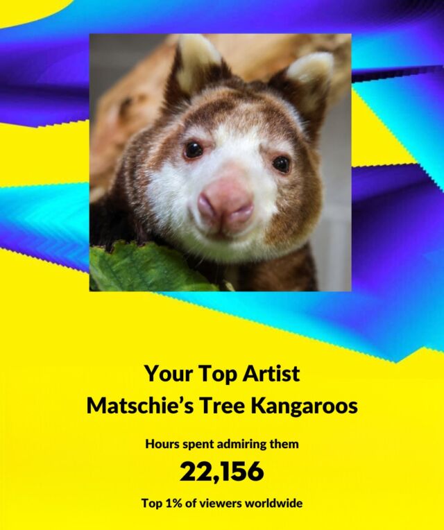 Who made your Zoo Wrapped this year? Swipe to share your top "artist"! 💙 

Thanks for all of the hours you have spent admiring and learning about our amazing animal friends! 👏🏼