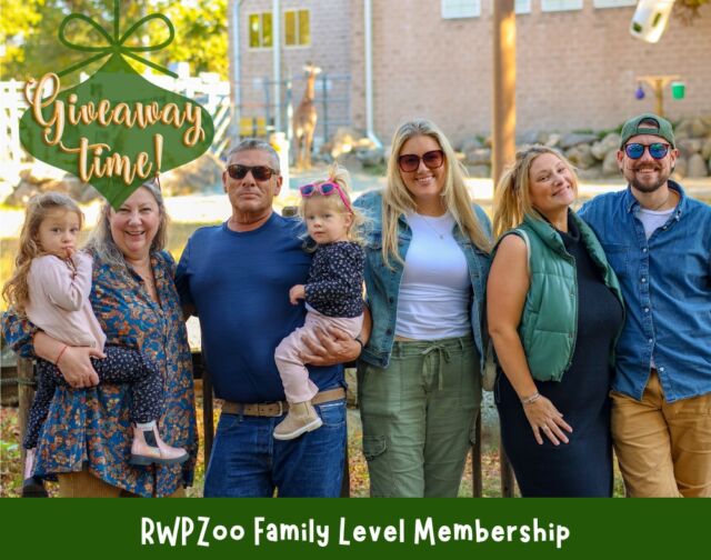 Merry Christmas Eve, everyone! 🎄🎁 Spreading holiday cheer with Week 4 of our 5 Weeks of Amazing Giveaways! ✨Win a Family Zoo Membership and embark on a year of wild adventures!

TO ENTER: 
1. Like this post!
2. Tag your friends in the comments! Each tag counts as an entry.

A lucky winner will be chosen at random on Thursday, December 26th.

Stay tuned for one more wild giveaway next Tuesday!

No purchase necessary. This promotion is in no way sponsored, endorsed or administered by, or associated with Meta. We will never ask for any financial information or to click external links. Please beware of potential scams.