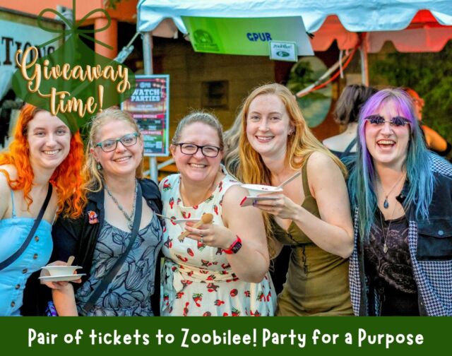 ✨ New Year's Eve Giveaway! ✨ Celebrate the end of an incredible year and the start of a fantastic new one with our FINAL Week 5 giveaway! 🎉 Win TWO TICKETS to Zoobilee, the Zoo's biggest event of the year, happening on June 28, 2025! 

TO ENTER: 
1. Like this post!
2. Tag your friends in the comments! Each tag counts as an entry.

A lucky winner will be chosen at random on Thursday, January 2nd.

No purchase necessary. This promotion is in no way sponsored, endorsed or administered by, or associated with Meta. We will never ask for any financial information or to click external links. Please beware of potential scams.