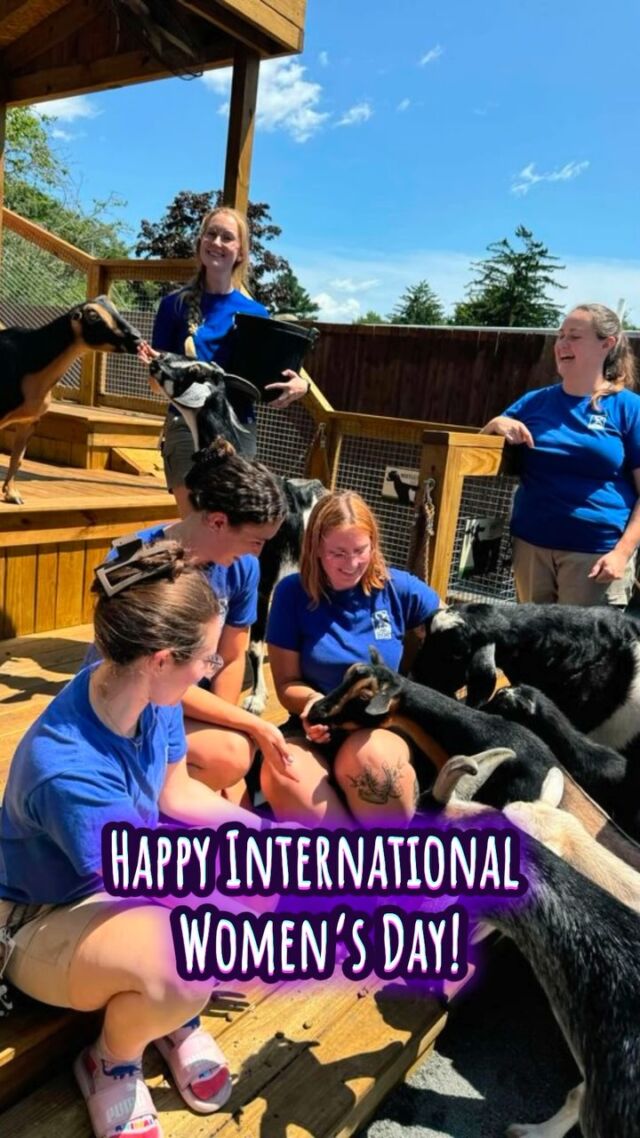 This International Women’s Day, we are proud to celebrate the extraordinary group of women who are an influential part of our Zoo family. These women inspire us daily with their passion, strength, and unwavering commitment to our mission of protecting wildlife and wild places! 

From our incredible staff and zookeepers to our passionate volunteers and supporters, we couldn’t do it without YOU! 💖 

#IWD2025 #womensday #internationalwomensday #womeninstem #zoo